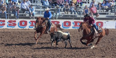 Fiesta de los vaqueros, tucson, arizona a la