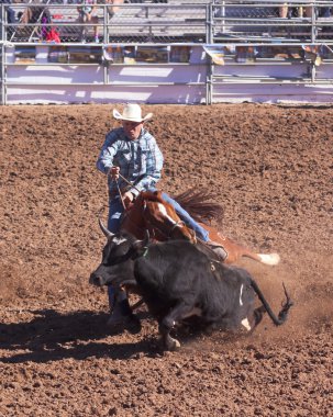 Fiesta de los vaqueros, tucson, arizona a la