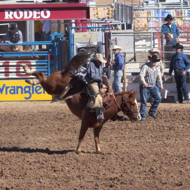 Fiesta de los vaqueros, tucson, arizona a la