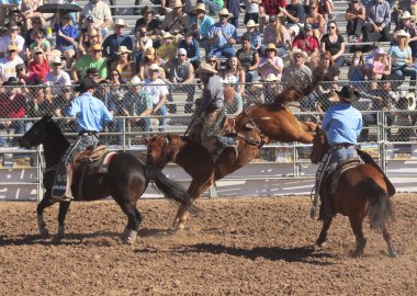 Fiesta de los vaqueros, tucson, arizona a la
