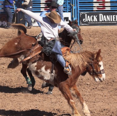 Fiesta de los vaqueros, tucson, arizona a la