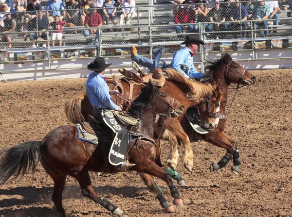 A La Festa De Los Vaqueros, Tucson, Аризона — стоковое фото