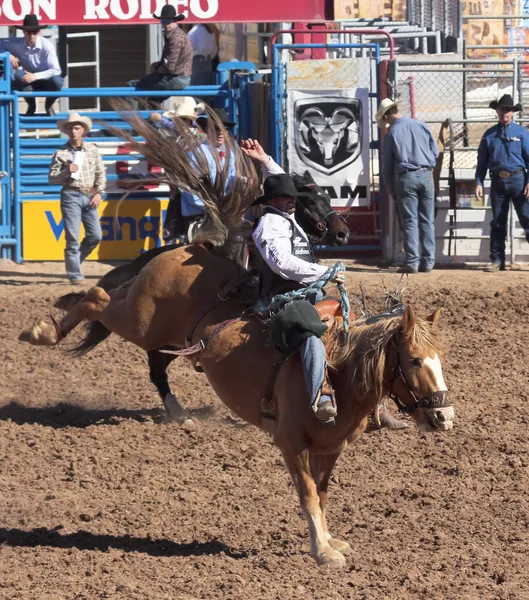 A La Festa De Los Vaqueros, Tucson, Аризона — стоковое фото