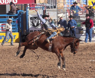Fiesta de los vaqueros, tucson, arizona a la