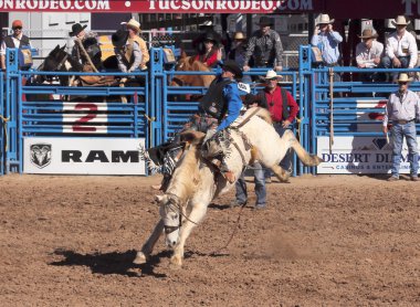 Fiesta de los vaqueros, tucson, arizona a la
