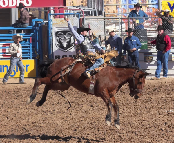 A La Festa De Los Vaqueros, Tucson, Аризона — стоковое фото