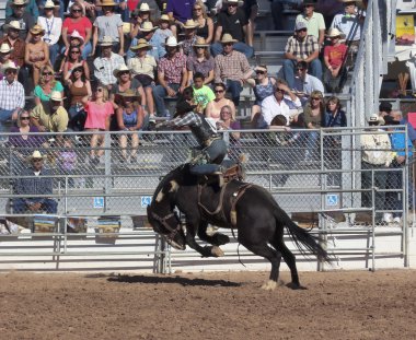 Fiesta de los vaqueros, tucson, arizona a la