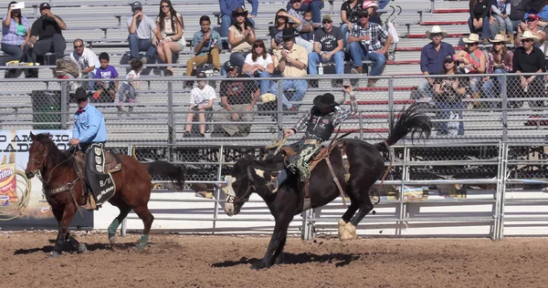 Fiesta de los vaqueros, tucson, arizona a la — Stok fotoğraf