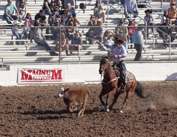 ラ フィエスタ ・ デ ・ ロス vaqueros ロデオ、ツーソン、アリゾナ州 — ストック写真