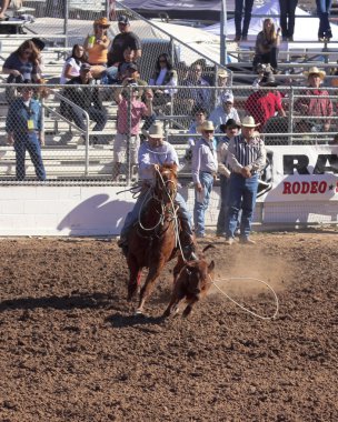 Fiesta de los vaqueros, tucson, arizona a la