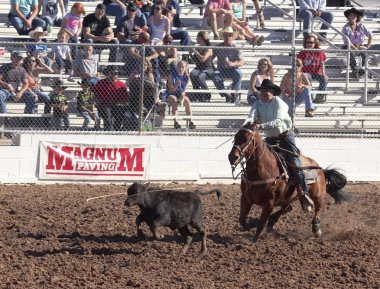 Fiesta de los vaqueros, tucson, arizona a la