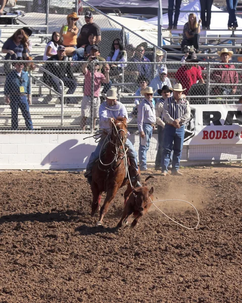 A La Fiesta De Los Vaqueros, Tucson, Arizona — Foto de Stock