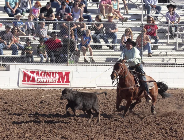 Fiesta de los vaqueros, tucson, arizona a la — Stok fotoğraf