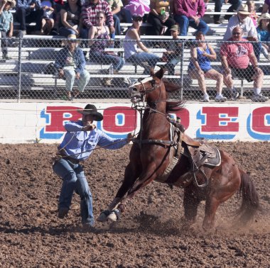 Fiesta de los vaqueros, tucson, arizona a la