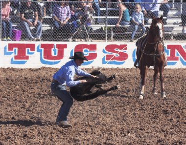 Fiesta de los vaqueros, tucson, arizona a la