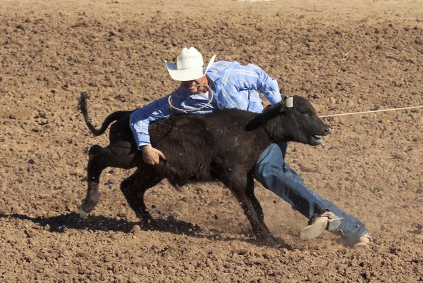 La fiesta de los vaqueros, tucson, arizona — Stock Fotó