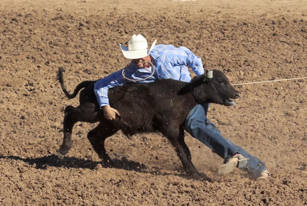 А-ля fiesta де Лос vaqueros, Тусон, Арізоні — стокове фото