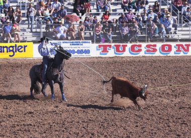 Fiesta de los vaqueros, tucson, arizona a la