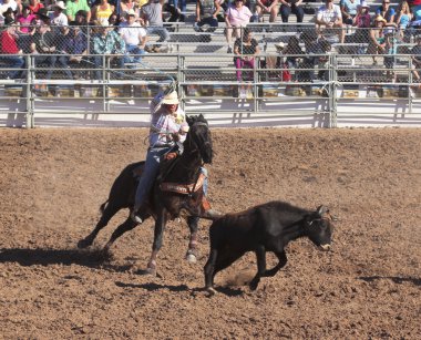 Fiesta de los vaqueros, tucson, arizona a la