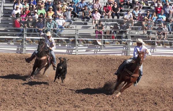 La fiesta de los vaqueros, tucson, arizona — Stock fotografie