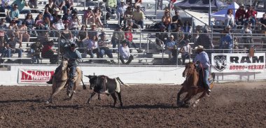 Fiesta de los vaqueros, tucson, arizona a la