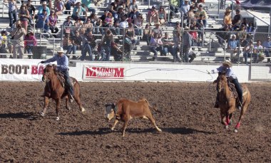Fiesta de los vaqueros, tucson, arizona a la