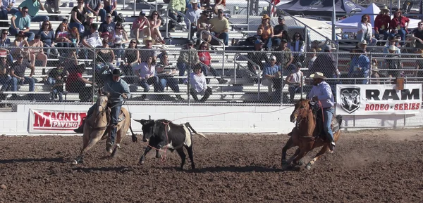 La fiesta de los vaqueros, tucson, arizona — Stock Fotó