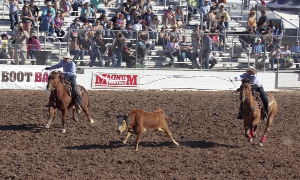 A La Fiesta De Los Vaqueros, Tucson, Arizona — Foto de Stock