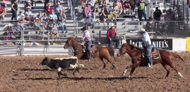 Fiesta de los vaqueros, tucson, arizona a la