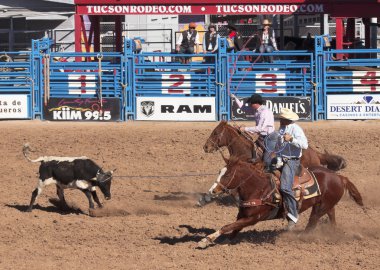 Fiesta de los vaqueros, tucson, arizona a la