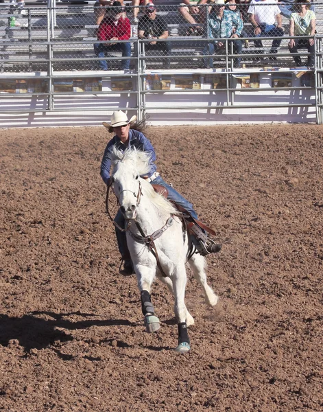 A La Fiesta De Los Vaqueros, Tucson, Arizona — Foto de Stock