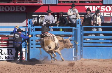 Fiesta de los vaqueros, tucson, arizona a la