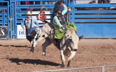 Fiesta de los vaqueros, tucson, arizona a la