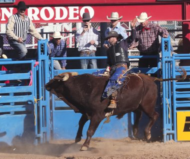Fiesta de los vaqueros, tucson, arizona a la