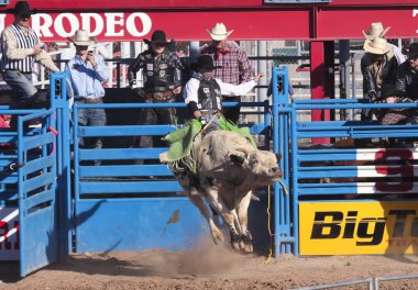 Fiesta de los vaqueros, tucson, arizona a la