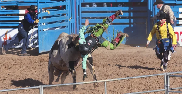 La fiesta de los vaqueros, tucson, arizona — Zdjęcie stockowe