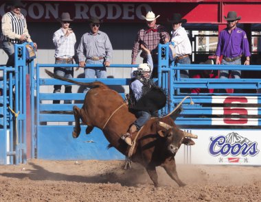 Fiesta de los vaqueros, tucson, arizona a la