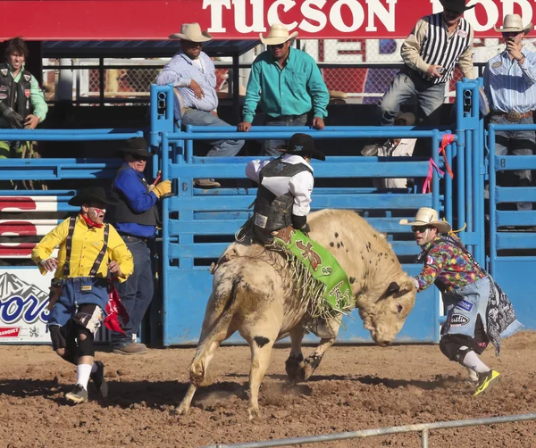 ラ フィエスタ ・ デ ・ ロス vaqueros、ツーソン、アリゾナ州 — ストック写真