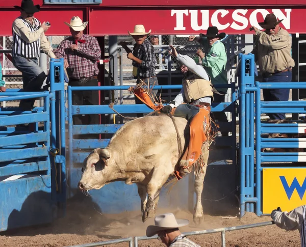 La fiesta de los vaqueros, tucson, arizona — Zdjęcie stockowe