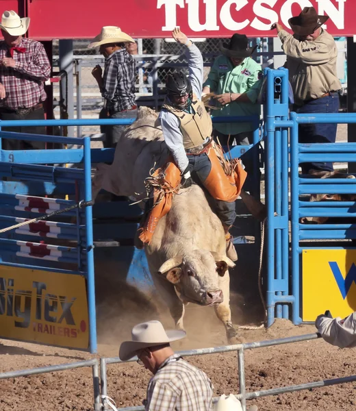 Fiesta de los vaqueros, tucson, arizona a la — Stok fotoğraf