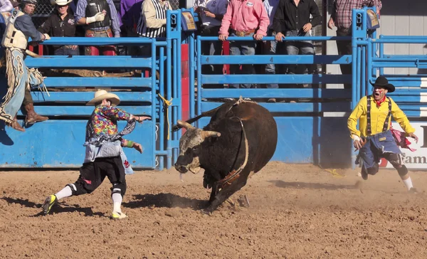 Alla fiesta de los vaqueros, tucson, arizona — Foto Stock