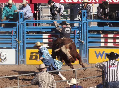 Fiesta de los vaqueros, tucson, arizona a la