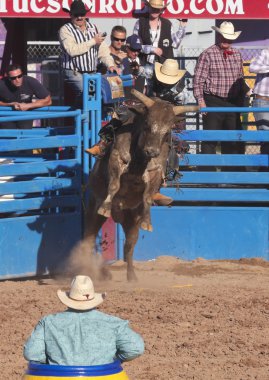 Fiesta de los vaqueros, tucson, arizona a la