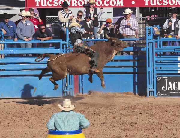 ラ フィエスタ ・ デ ・ ロス vaqueros、ツーソン、アリゾナ州 — ストック写真