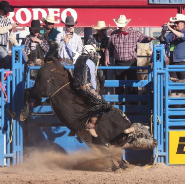 Fiesta de los vaqueros, tucson, arizona a la