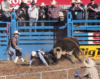 Fiesta de los vaqueros, tucson, arizona a la