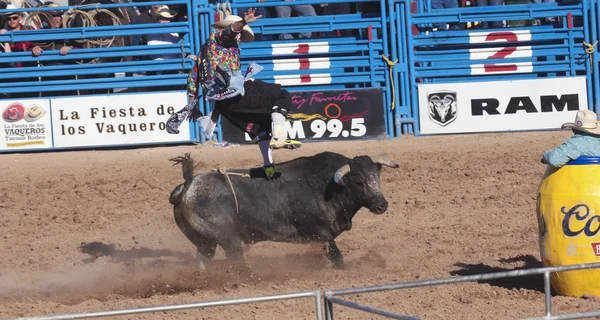 A La Fiesta De Los Vaqueros, Tucson, Arizona — Foto de Stock