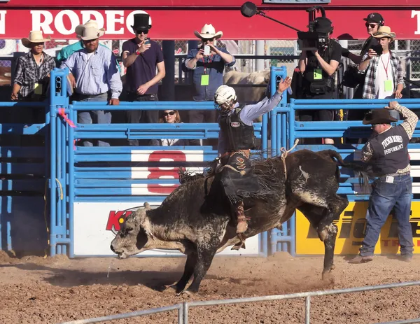 La fiesta de los vaqueros, tucson, arizona — Zdjęcie stockowe