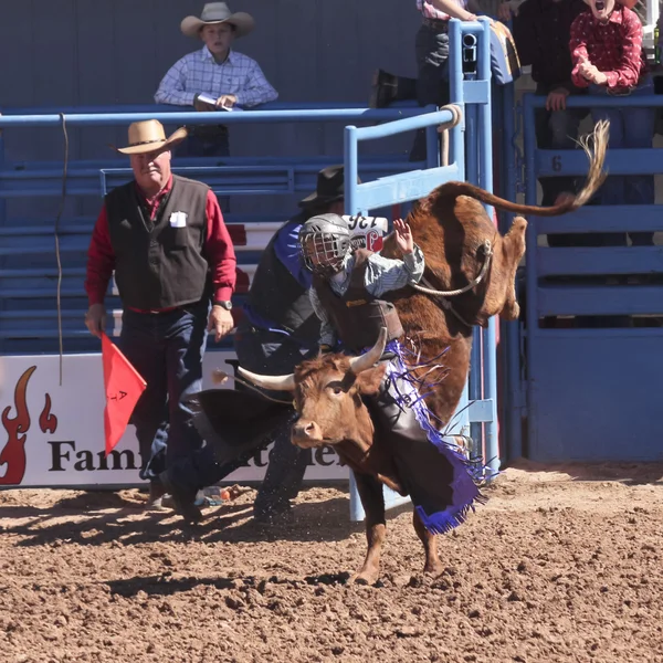 La fiesta de los vaqueros juniorów rodeo — Zdjęcie stockowe