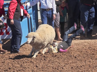 la fiesta de los vaqueros junior rodeo